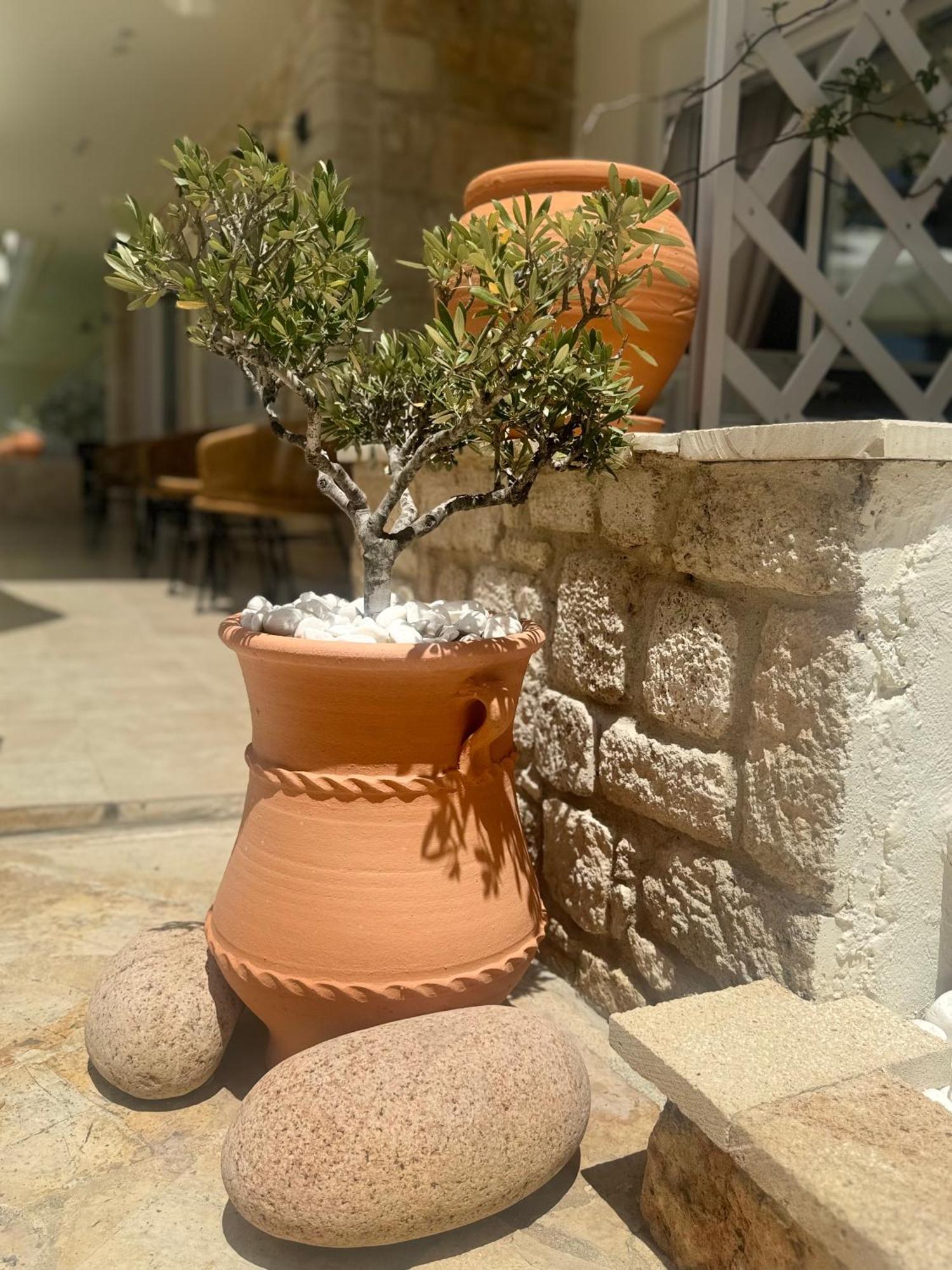 Melis Studios Kallithea  Dış mekan fotoğraf